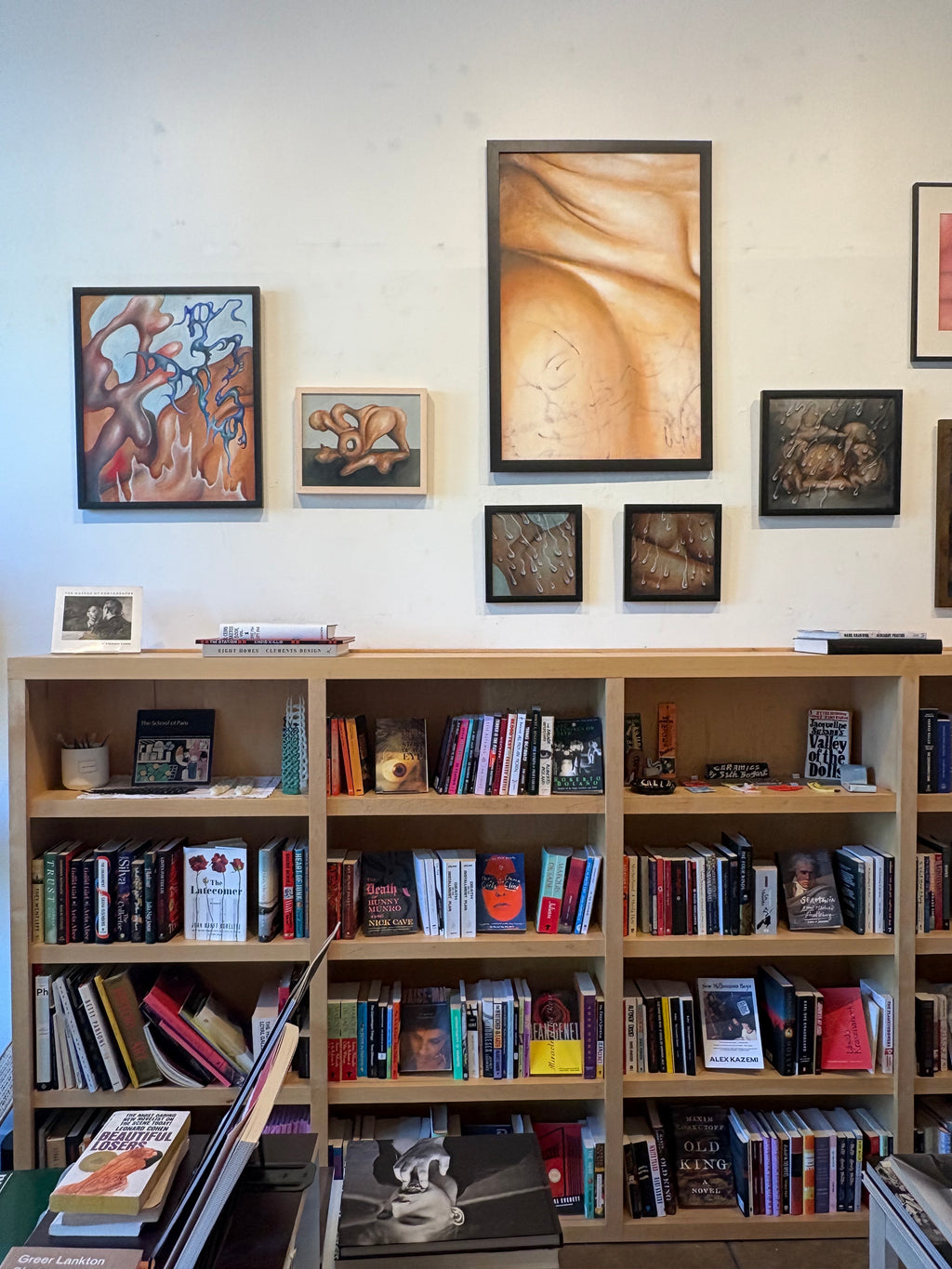 Sabrina Drescher, Skin Slinky, Installation View